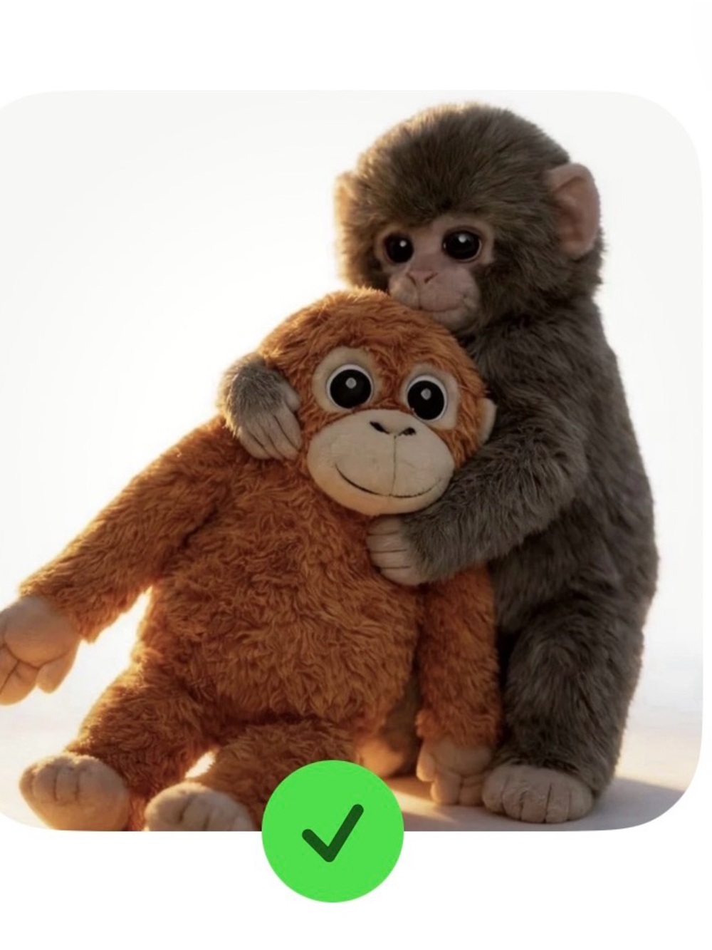 Punch  Monkey Plush Pair - Gray & Orange